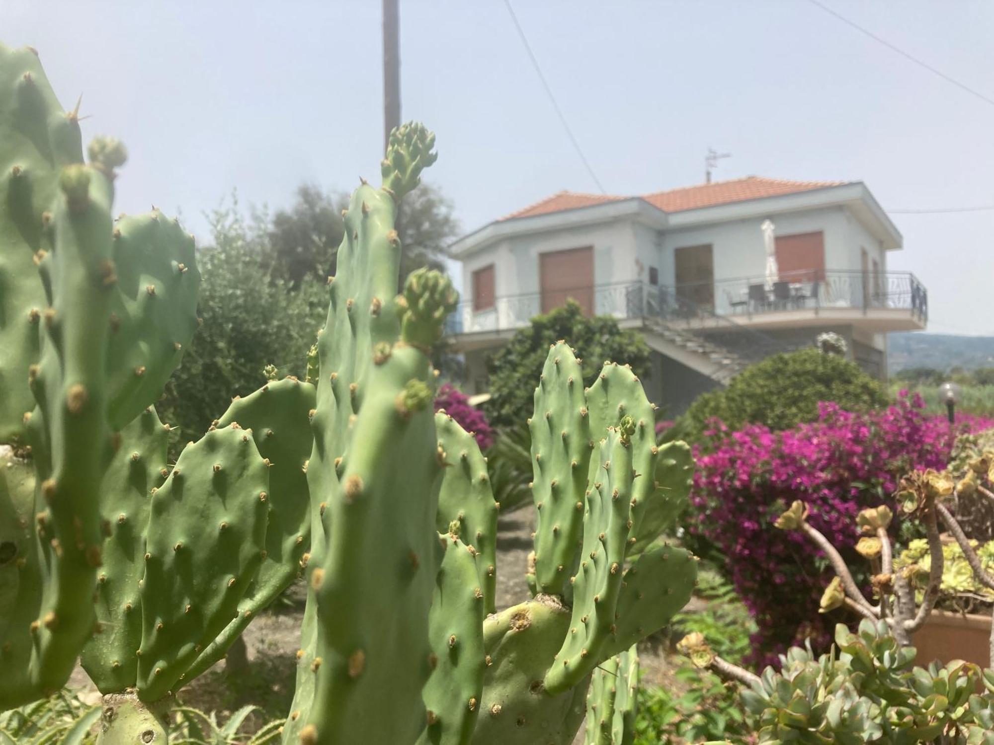 Villa Con Piscina Esclusiva Vista Etna Mascali Exteriér fotografie