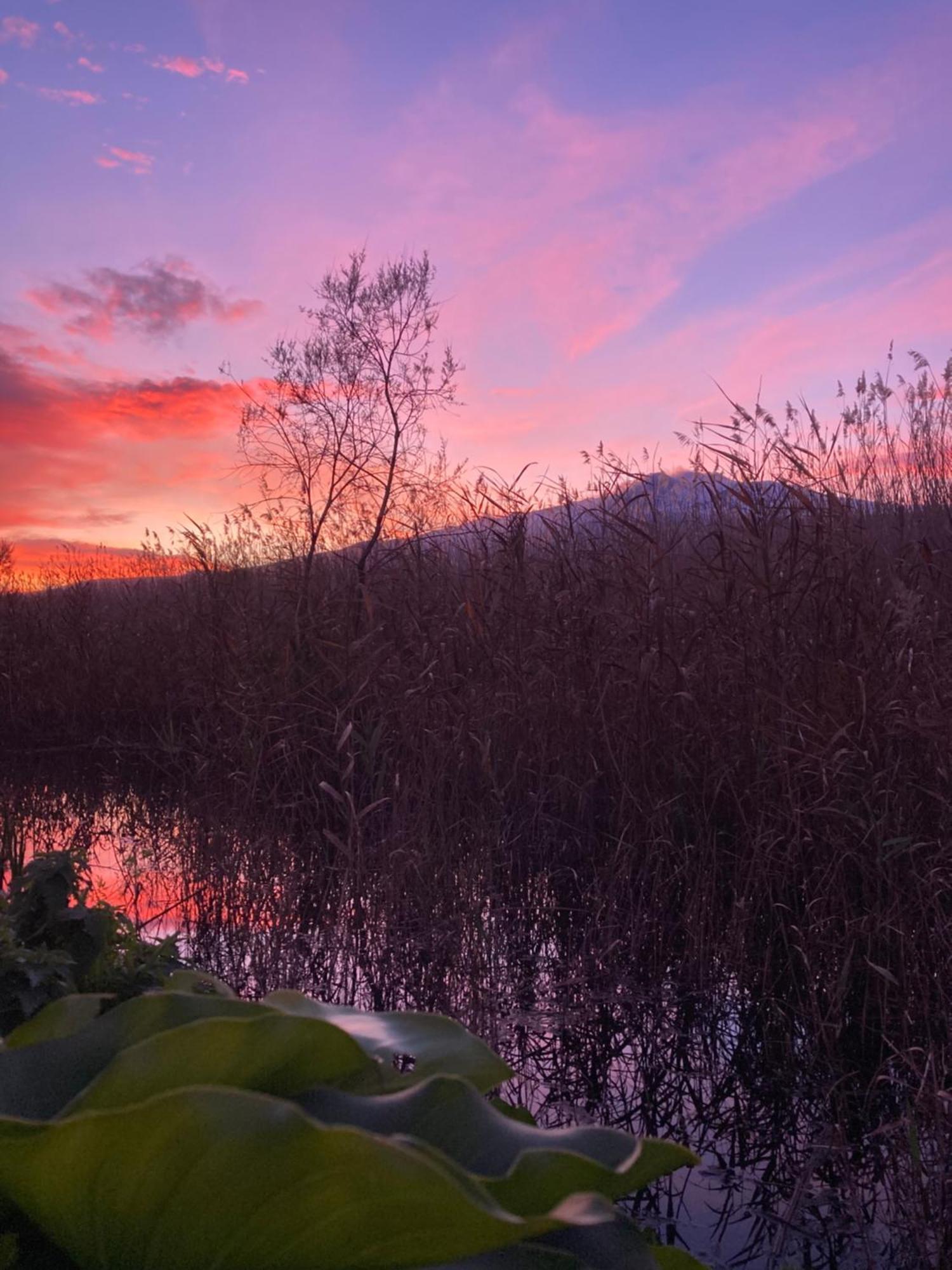 Villa Con Piscina Esclusiva Vista Etna Mascali Exteriér fotografie