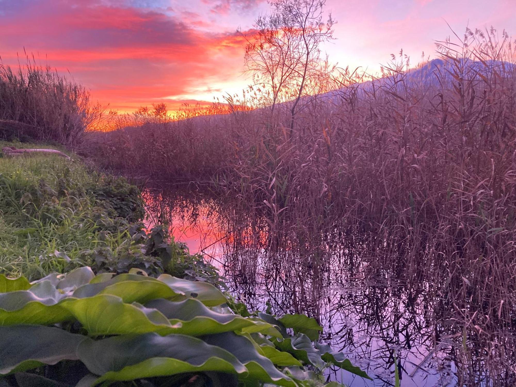 Villa Con Piscina Esclusiva Vista Etna Mascali Exteriér fotografie