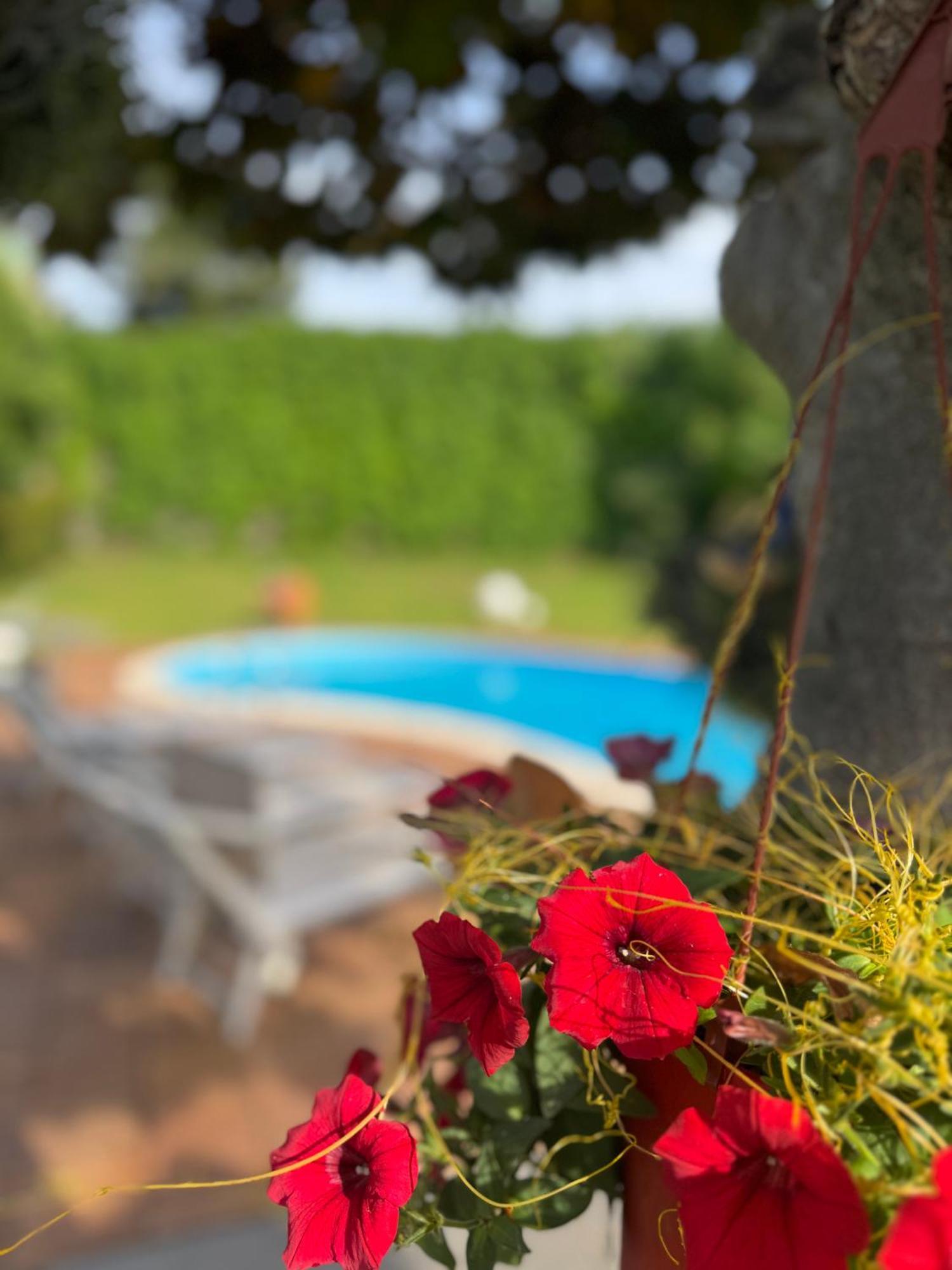 Villa Con Piscina Esclusiva Vista Etna Mascali Exteriér fotografie